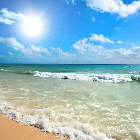 Anita A3 Cosy Sunny * Sunny Beach